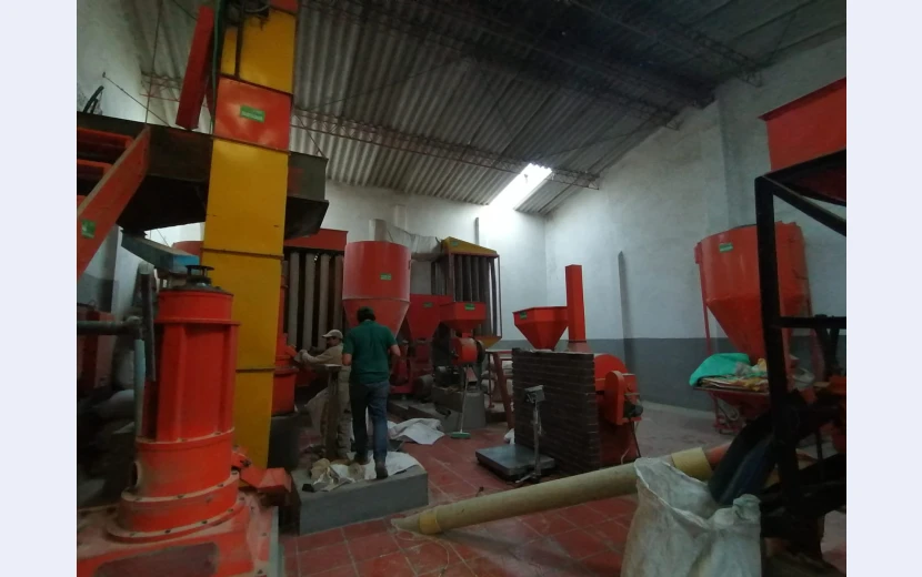 agroindustria-molinera-del-oriente-sas